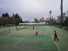 世田谷公園の東北側にあるテニスコートです。広いコートです。