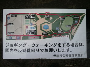 世田谷公園の周囲を利用したジョギングコースです。周囲約１ｋｍ
