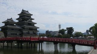 クラフトビールフェスティバル