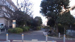 旧立会川の上に作られた、木々に覆われた緑道です