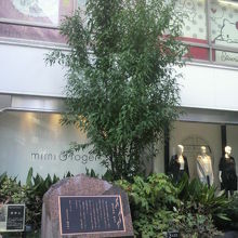 数寄屋橋公園の柳の木と柳の木の由来を示す記念碑です。