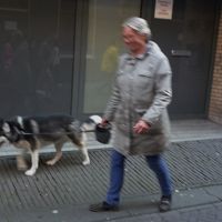 ハーグ デン ハーグ 天気 気候 服装 オランダ 旅行のクチコミサイト フォートラベル