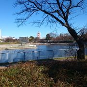 白鳥庭園隣接