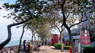 海岸沿いは景色がいい