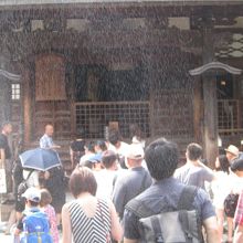 暑い日だったので、霧を放水していました