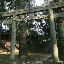 丘の頂上に向かう途中にあり神社