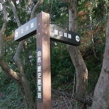 右はお城の頂上へ、左は城池親水公園