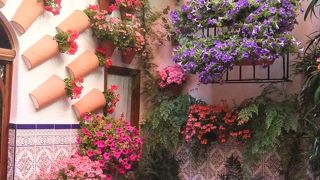 2014年のパティオ祭り