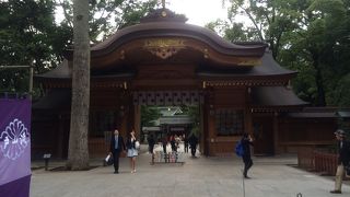どの時間帯に行っても人が多く行き交う神社