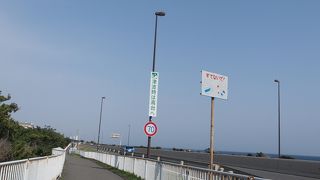 海岸沿いに走ってます