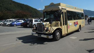 ボンネットバスと普通の小型バスがあります。