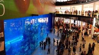 遊園地感覚のアトラクション？