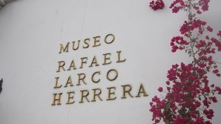 たくさんの展示物には日本語の説明書き付、満足できる内容です