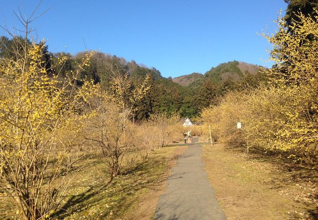 上永野キャンプ場