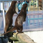 コンパクトだけどバランスのよい動物園☆