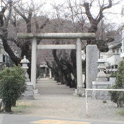 鎌倉時代から続く由緒ある神社です、碑文谷という地名はこの神社からつけられました