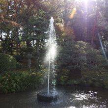 こんな凄いのに水圧のみで吹き上がってるんですね