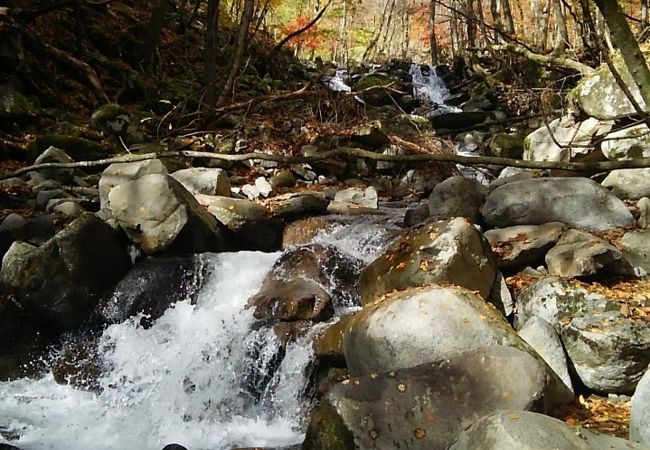 徳和渓谷 クチコミ アクセス 営業時間 山梨市 フォートラベル
