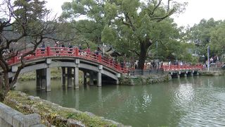 参拝者の身を清めます