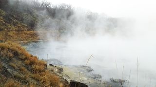 ものすごい光景