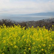 四季の花と360°の眺望が楽しめる