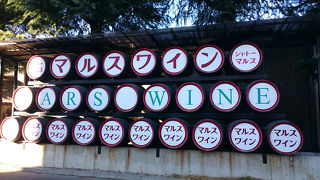 ワイン工場見学