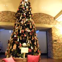 クリスマスツリー！サンタがポストカード配ってました