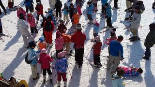 無料のスキー教室