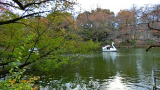 吉祥寺へ行ったら立ち寄ってみて下さい
