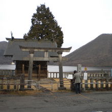 榛名富士の間に、御沼オカミ神社を守護する樹が植えられています