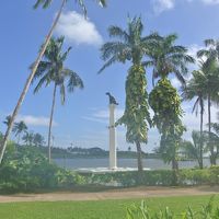 レオのいる広大な敷地