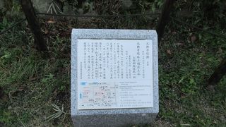 奈良時代を代表する塔の跡
