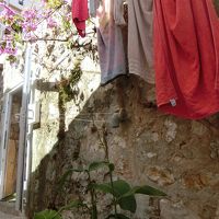 この左奥が入口。わかりにく〜い！！