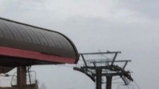 楽しめました。