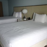 広いベットが二つのツインルーム