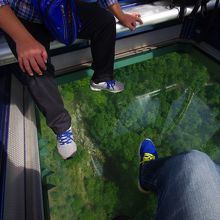 クリスタルキャビン