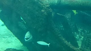 こじんまりした水族館