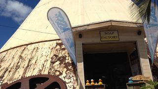 モヤさまで有名