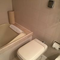 バスタブは小さめです。