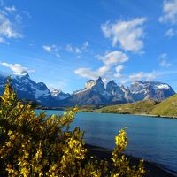 言葉が出ないくらいの感動です