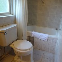 シンプルなのはいいですが，お湯の出が少々よくないです