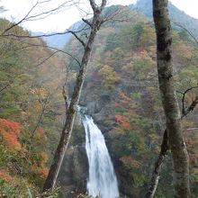 最近のカメラは薄暗くても撮れるからすごい。