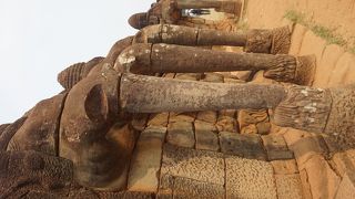 いろんな象さん