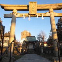 西日があたる鳥居