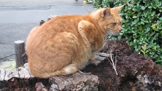 結構広いです。