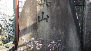 築地中央卸売市場にあります