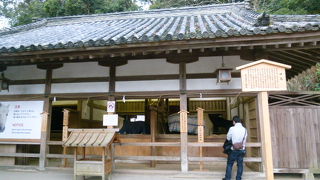 あまり元気なかったお馬さん！