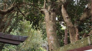 手軽に鎌倉ハイキング