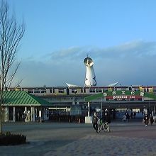 太陽の塔も見られます