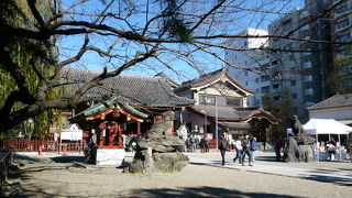 もうすぐ正月です！